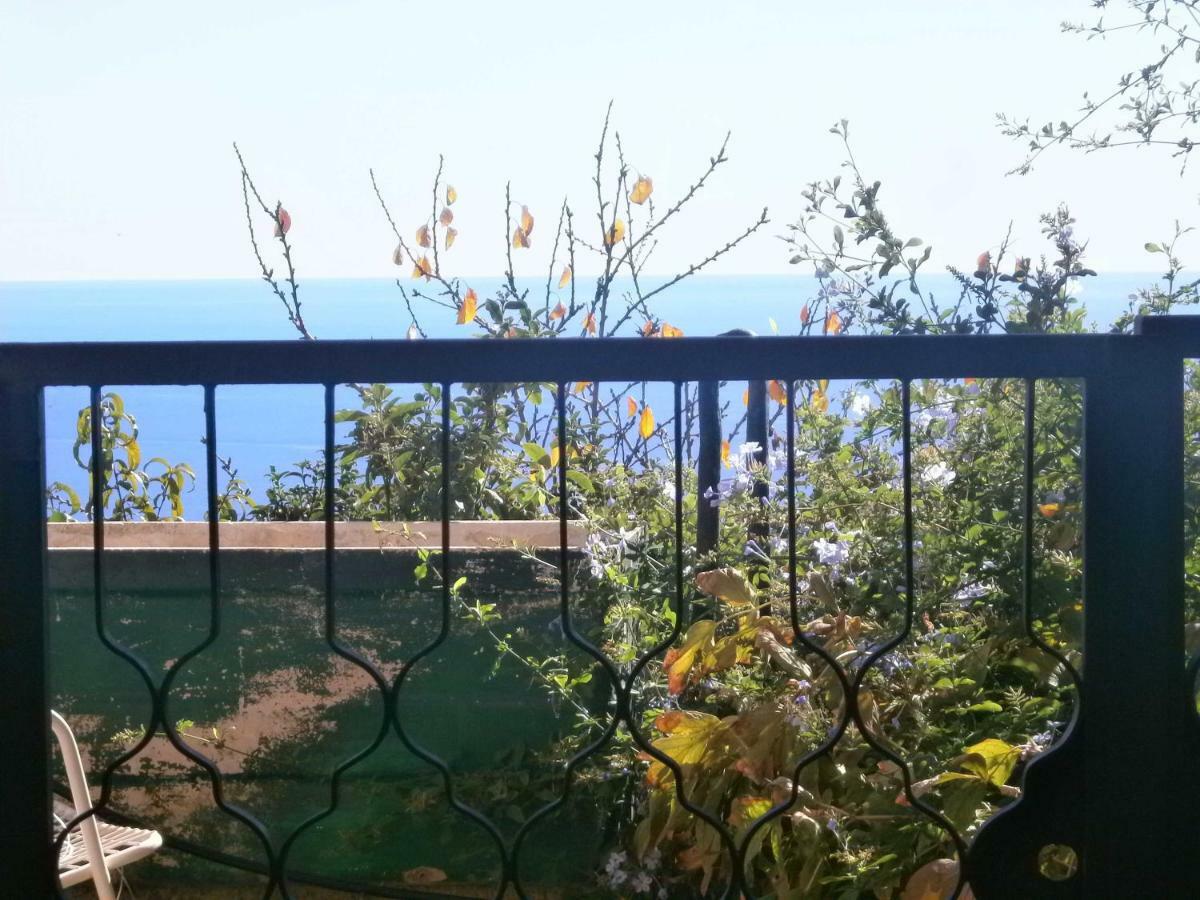 Risorgimento Apartment Cipressa Екстериор снимка